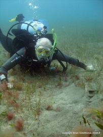 Take time to examine the marine life in more detail when diving with Nitrox