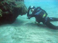 Can you see the angel shark under the sand by the rock