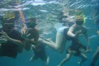 A group of young snorklers explore the Marine Reserve