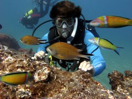 PADI Open Water course in subtropical waters Gran Canaria