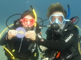 Your first dive in Gran Canaria in the calm clear waters of the El Cabron Marine Reserve