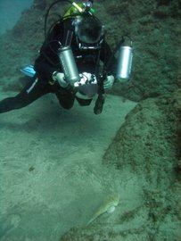 Underwater photography with our diving centre in Gran Canaria