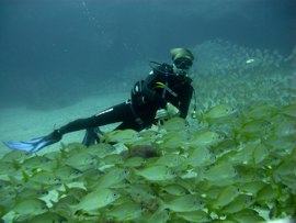 A finales del invierno en Gran Canaria son recomendables los guantes y capuchas en aguas profundas de la reserva marina del cabrón