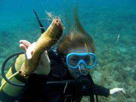 What will you do with a sea cucumber in the El Cabron Marine Reserve Gran Canaria?