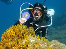 from our diving centre in Gran Canaria, explore the marine reserve with your buddy and a guide