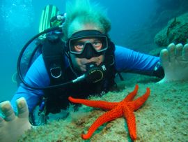 The open waters of the marine reserve are full of colourful creatures such as this starfish