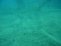 Dive gran canaria - poor conditions