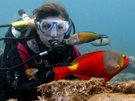 En la Reserva Marina del Cabrón podrás estar muy cerca y poder ver con detalle bajo el agua a criaturas como viejas, pulpos ,sepias…